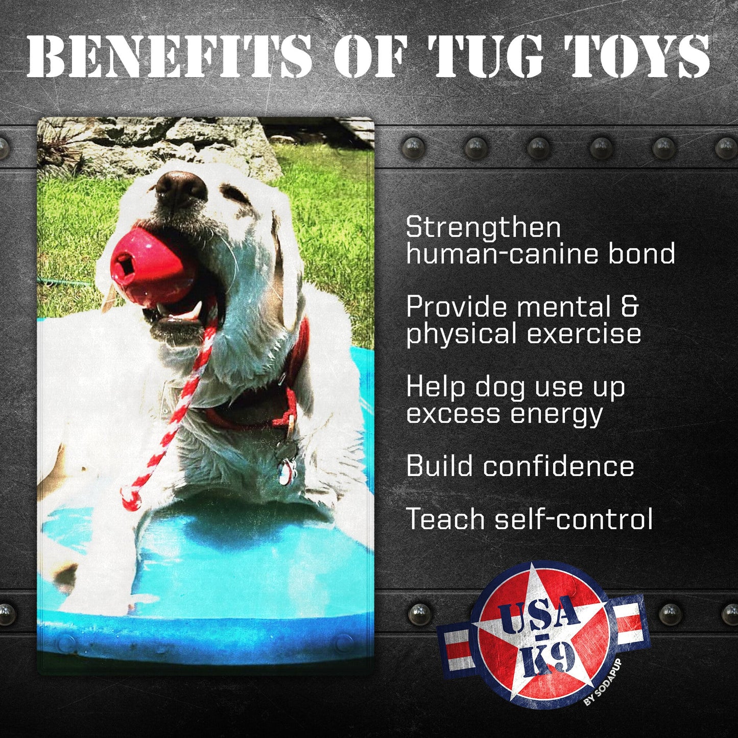USA-K9 Cherry Bomb Rubber Dog Chew Toy | K9 Handler Reward Toy | USA Made