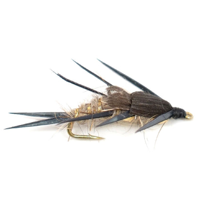 Trout Fly Assortment - Essential Western Dry and Nymph Fly Fishing Flies Collection - 2 Dozen Trout Flies with Fly Box
