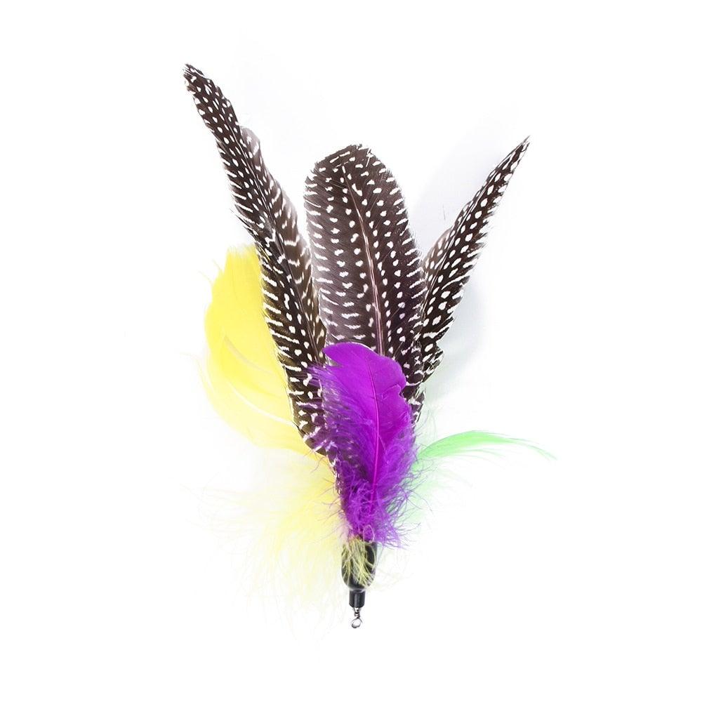 Cat Feather Toy Set