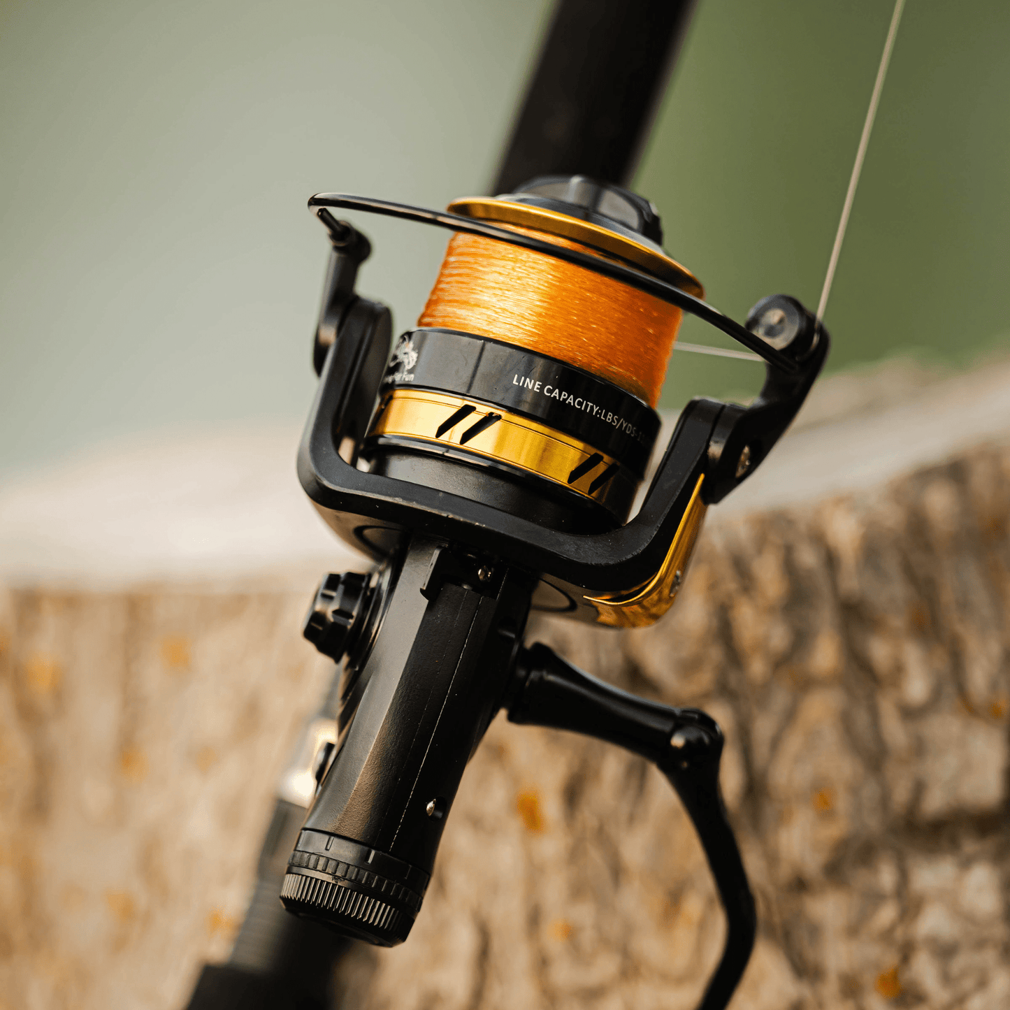 Fishing For Fun Spinning Reel