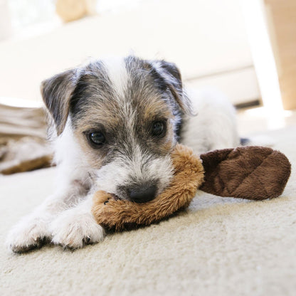 KONG Dr. Noyz X-Small Plush Dog Toys – Stuffing-Free, Soft Cuddle Toy with Removable and Extra Squeaker for Small Dogs