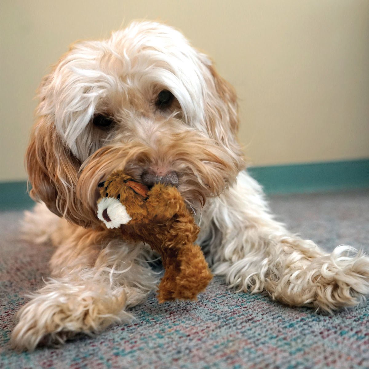 KONG Dr. Noyz X-Small Plush Dog Toys – Stuffing-Free, Soft Cuddle Toy with Removable and Extra Squeaker for Small Dogs